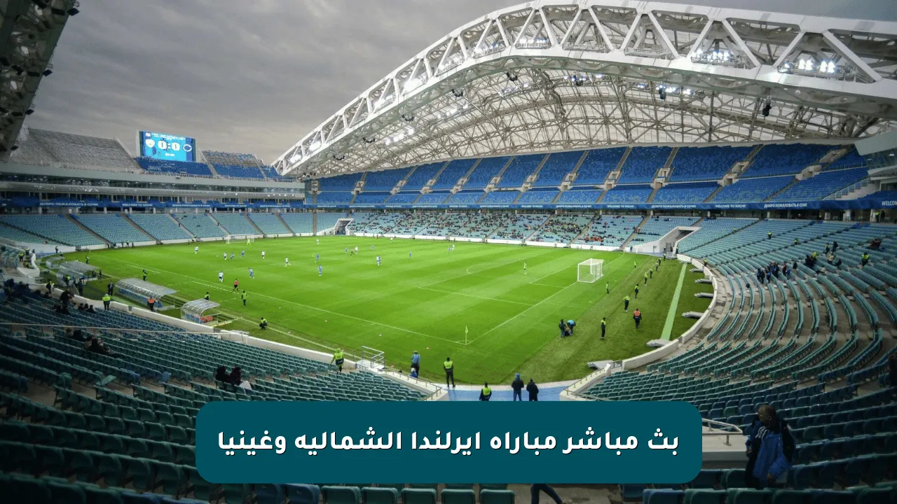 بث مباشر مباراة أيرلندا الشمالية وغينيا